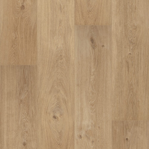 F019 Cognac Topshot Crop RGB