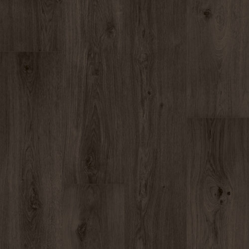 F022 Black Beauty Topshot Crop RGB