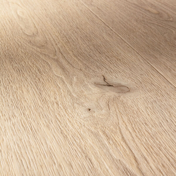 F093 parmsan  for web