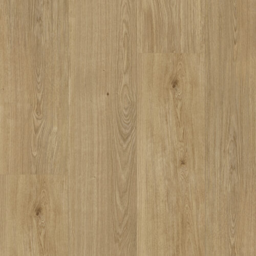 F098 Toffee topshot rgb
