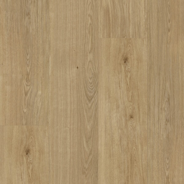 F098 Toffee topshot rgb