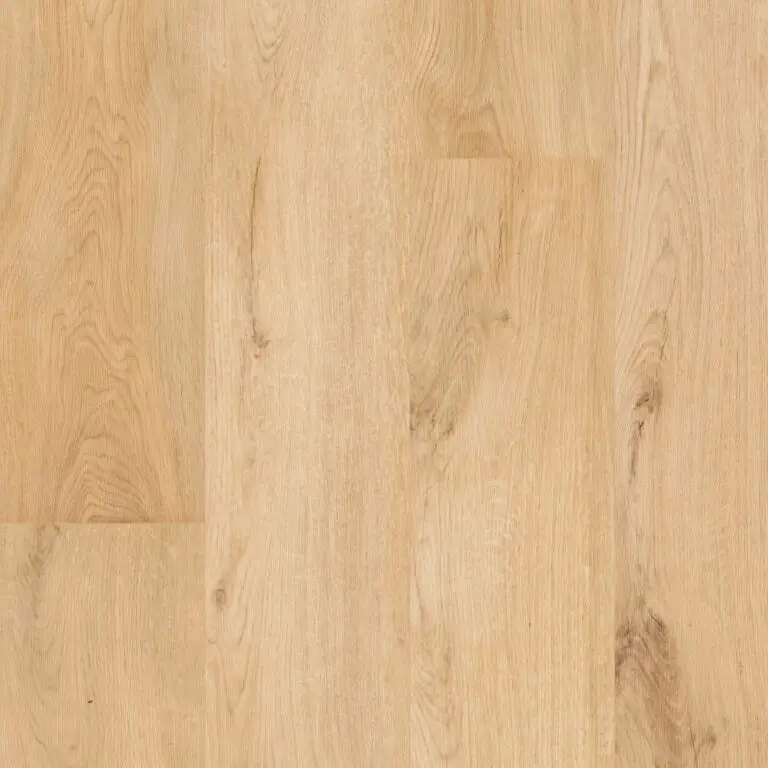 F101 Sabayon Topshot Crop lowres