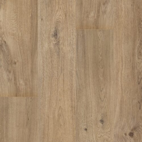 F102 Teddybear Topshot Crop lowres