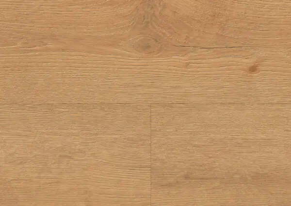 Floer Bossen PVC Plak Noordlaarderbos Natuur Eiken Detail