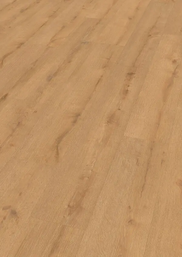 Floer Bossen PVC Plak Noordlaarderbos Natuur Eiken Perspectief