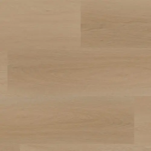 6511161019 main 8f6b8c64