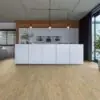 9098368519 77032 e0054258