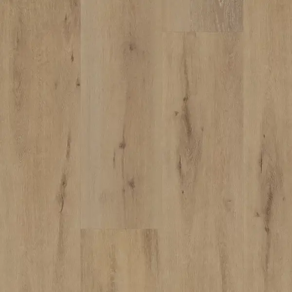 Attico 800 1