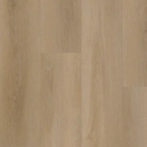 Attico 810 1