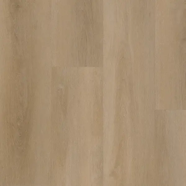 Attico 810 1