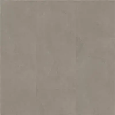 Noveno click SRC warm grey