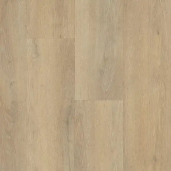Palazzo 720 1