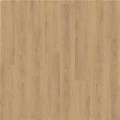Robusto click SRC natural oak