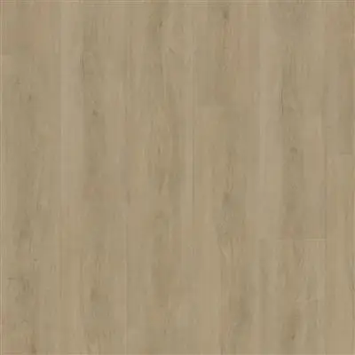 Robusto dryback beige