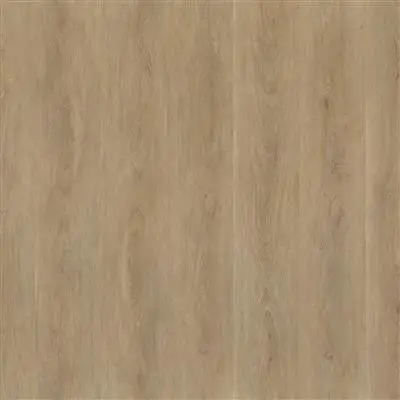 Robusto dryback natural oak