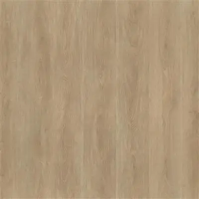 Robusto dryback naturel