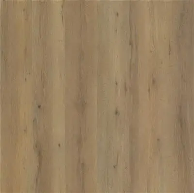 Vivero click SRC smoky